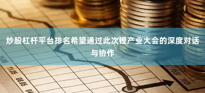 炒股杠杆平台排名希望通过此次锂产业大会的深度对话与协作